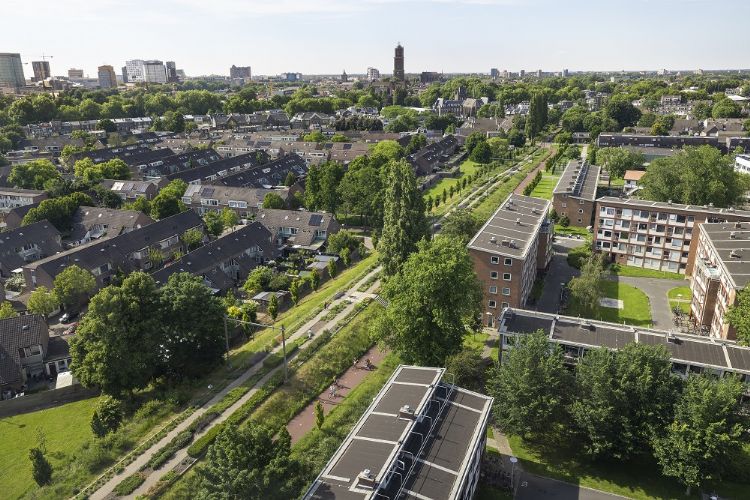 Twee werelden verbonden of gescheiden door stadsnatuur © Daniël Nicolas Twee werelden verbonden of gescheiden door stadsnatuur © Daniël Nicolas