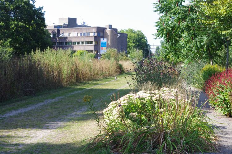 De calamiteitenbaan: functioneel en toch uitnodigend groen De calamiteitenbaan: functioneel en toch uitnodigend groen