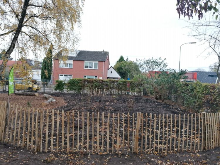 De scheppen staan klaar voor het planten van de bomen De scheppen staan klaar voor het planten van de bomen