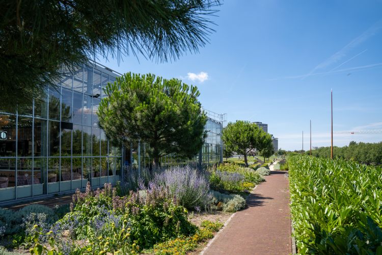 Het hart van het dakpark bestaat uit een grote kas, de Orangerie, waarin horeca is gevestigd Het hart van het dakpark bestaat uit een grote kas, de Orangerie, waarin horeca is gevestigd