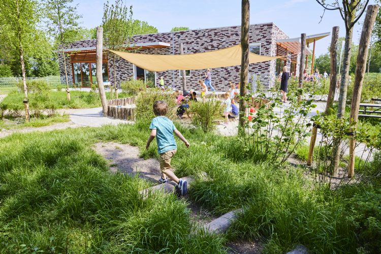 Dit groene schoolplein biedt verkoeling en schaduw Dit groene schoolplein biedt verkoeling en schaduw