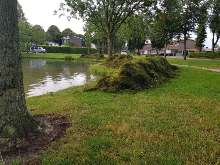 De harkmethode kun je ook toepassen in vijvers De harkmethode kun je ook toepassen in vijvers