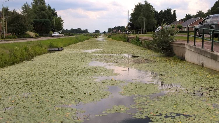 De vaart bij Roswinkel 'voor' hanteren harkmethode De vaart bij Roswinkel 'voor' hanteren harkmethode