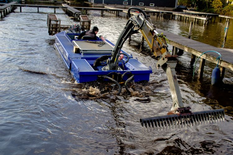 Harken naar exoten in een jachthaven Harken naar exoten in een jachthaven