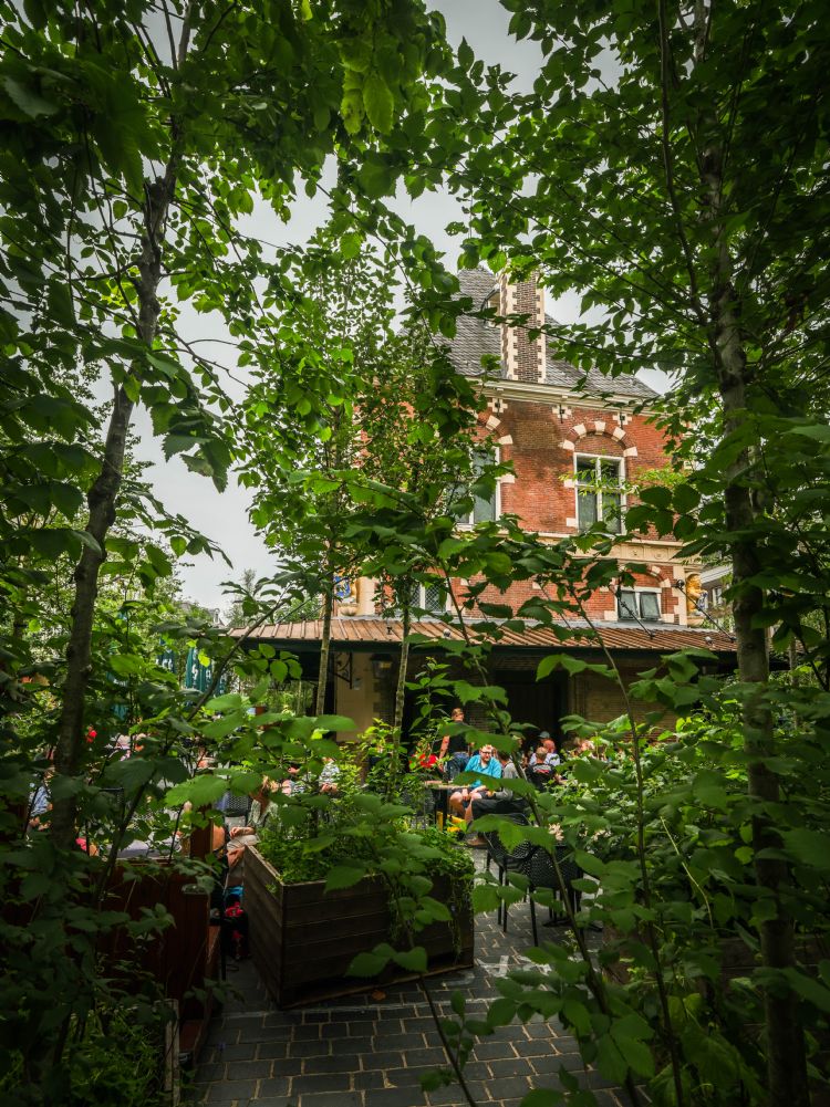 Terrassen op het Waagplein in het Bosk Terrassen op het Waagplein in het Bosk