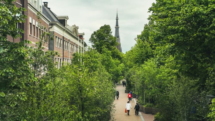 Bosk op de Tweebaksmarkt Bosk op de Tweebaksmarkt