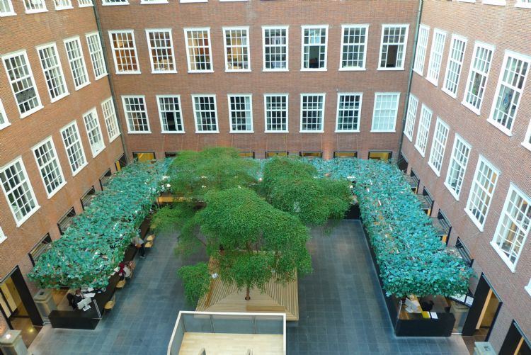 Kunstgroen en houtafwerking moeten in het oude ontwerp van de binnenhof de illusie van een tuin wekken. Kunstgroen en houtafwerking moeten in het oude ontwerp van de binnenhof de illusie van een tuin wekken.