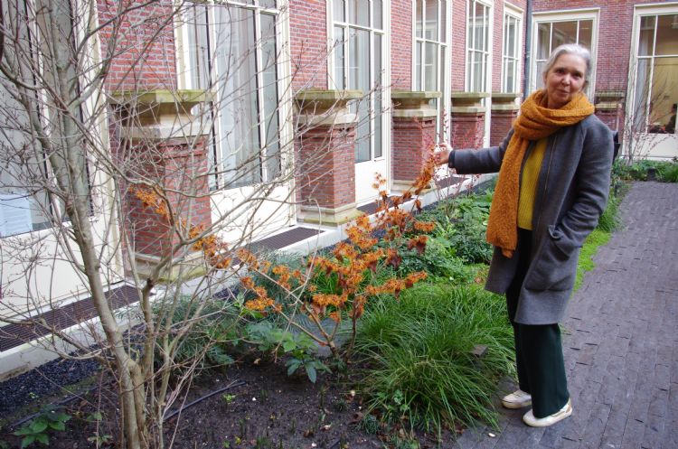 Een goed beplantingsplan maken is geen sinecure. Een goed beplantingsplan maken is geen sinecure.