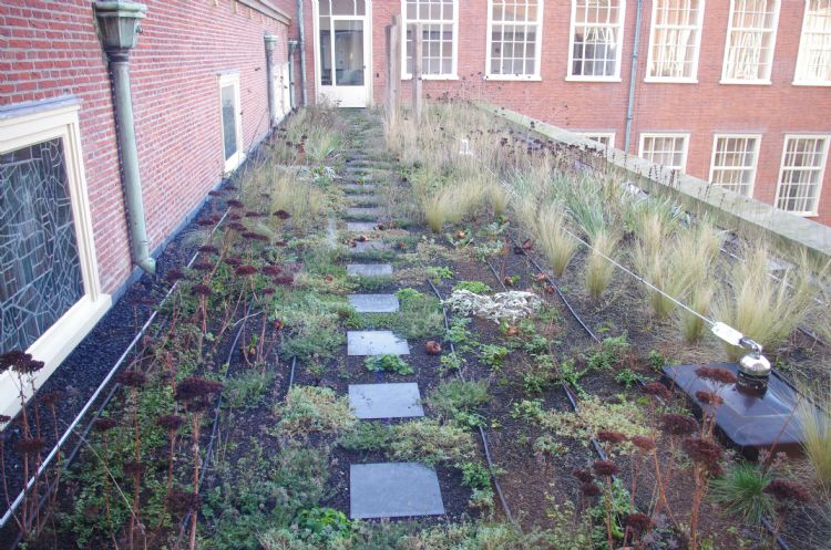 De daktuinen fungeren als ecologische stapsteen naar de stadhuistuin. De daktuinen fungeren als ecologische stapsteen naar de stadhuistuin.