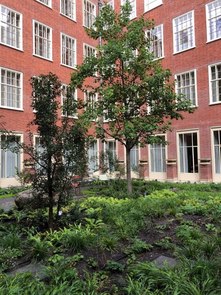 Grote variëteit in de beplanting en natuurlijke overgangen Grote variëteit in de beplanting en natuurlijke overgangen