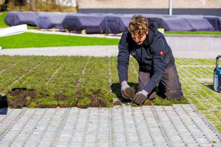 Hoveniersbedrijf Luukse Tuinaanleg verwerkt de graspluggen in de kunststof grasdallen Hoveniersbedrijf Luukse Tuinaanleg verwerkt de graspluggen in de kunststof grasdallen