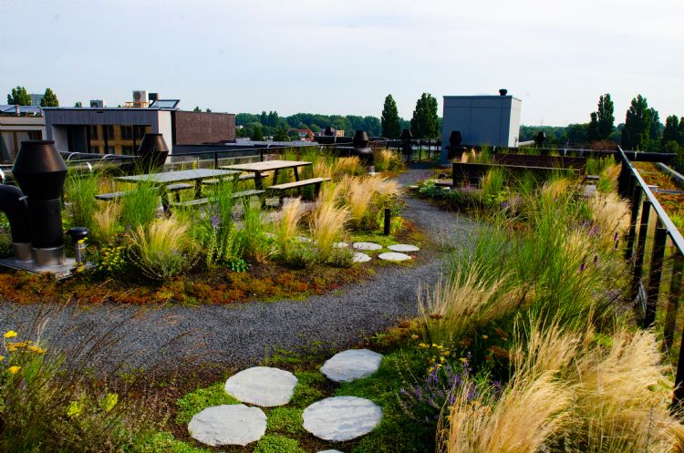Het Polderdak fungeert als een actief bestuurde waterberging, dat regenwater op het dak en omliggende daken kan opslaan en hergebruiken voor koeling, recycling en irrigatie Het Polderdak fungeert als een actief bestuurde waterberging, dat regenwater op het dak en omliggende daken kan opslaan en hergebruiken voor koeling, recycling en irrigatie