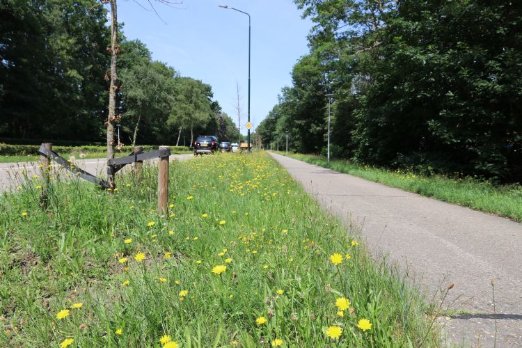 In het Staygreen-pakket zijn de mengsels genoemd naar hun toepassing. Van boven naar onder: Staygreen 1 Berm, Staygreen 3 Bij/vlinder en Staygreen 8 rotonde