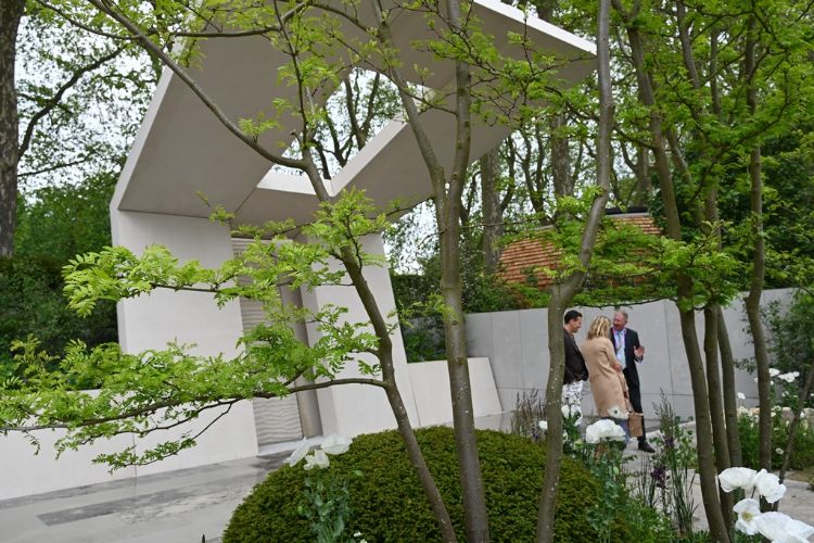 De valse christusdoorn (<i>Gleditsia triacanthos</i>) zorgt voor een prachtig transparant beeld De valse christusdoorn (<i>Gleditsia triacanthos</i>) zorgt voor een prachtig transparant beeld