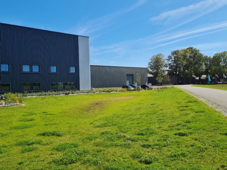 Wadi bij het magazijn van DSV zaden op 15 augustus 2023. Wadi bij het magazijn van DSV zaden op 15 augustus 2023.