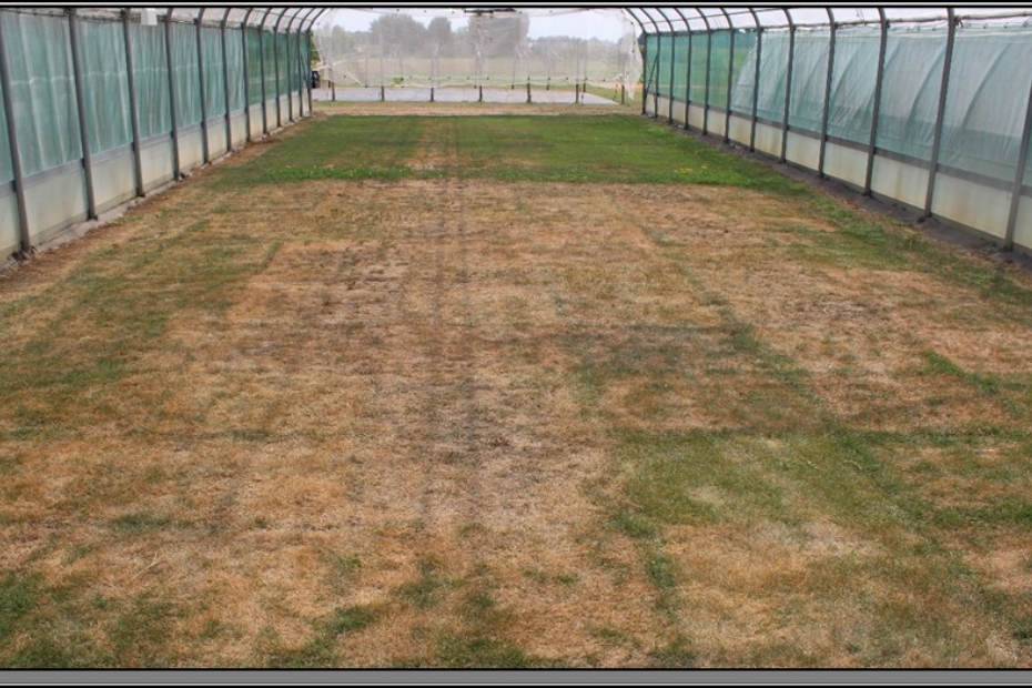 Een <i>rain out shelter</i> Een <i>rain out shelter</i>