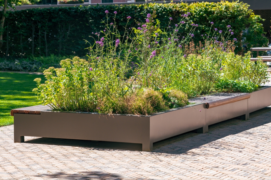 lantenbakken met zitplaatsen maken het mogelijk om in de Bazarlaan in Den Haag in het groen te zitten lantenbakken met zitplaatsen maken het mogelijk om in de Bazarlaan in Den Haag in het groen te zitten