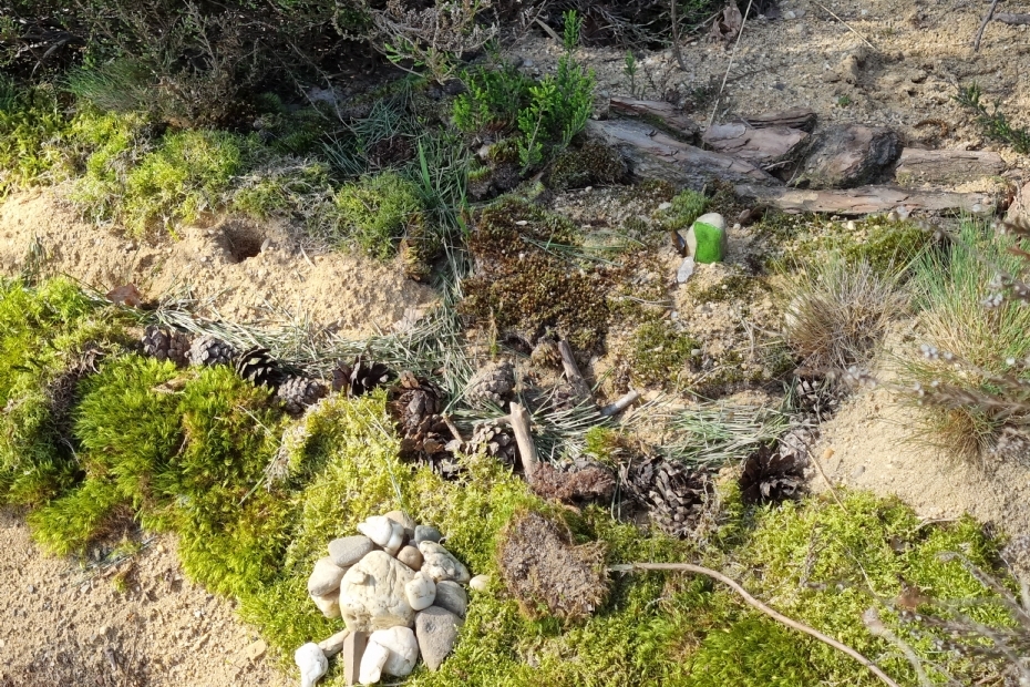Hebben kinderen beschikking over een groene omgeving, dan prikkelt dat hun fantasie; op deze foto is te zien dat kinderen lijnen hebben gemaakt van onder meer hout, dennenappels, dennennaalden, steentjes en mos Hebben kinderen beschikking over een groene omgeving, dan prikkelt dat hun fantasie; op deze foto is te zien dat kinderen lijnen hebben gemaakt van onder meer hout, dennenappels, dennennaalden, steentjes en mos