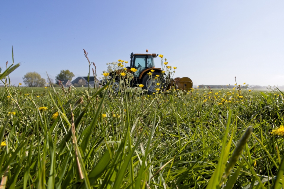 Bloemrijke berm rond een akker: maaibeleid (pixabay) Bloemrijke berm rond een akker: maaibeleid (pixabay)