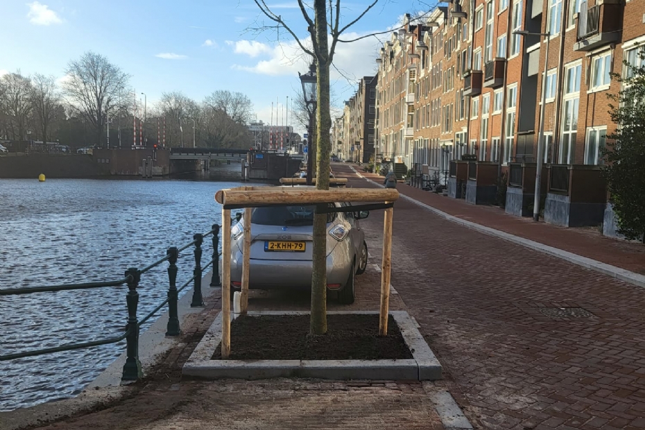 Nieuwe kademuur en nieuwe groeiplaatsen, ingericht op een lang bomenleven <(deze 2 foto's onder of naast elkaar)> Nieuwe kademuur en nieuwe groeiplaatsen, ingericht op een lang bomenleven <(deze 2 foto's onder of naast elkaar)>