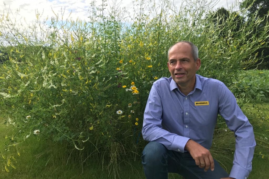 Jan van den Boom Jan van den Boom