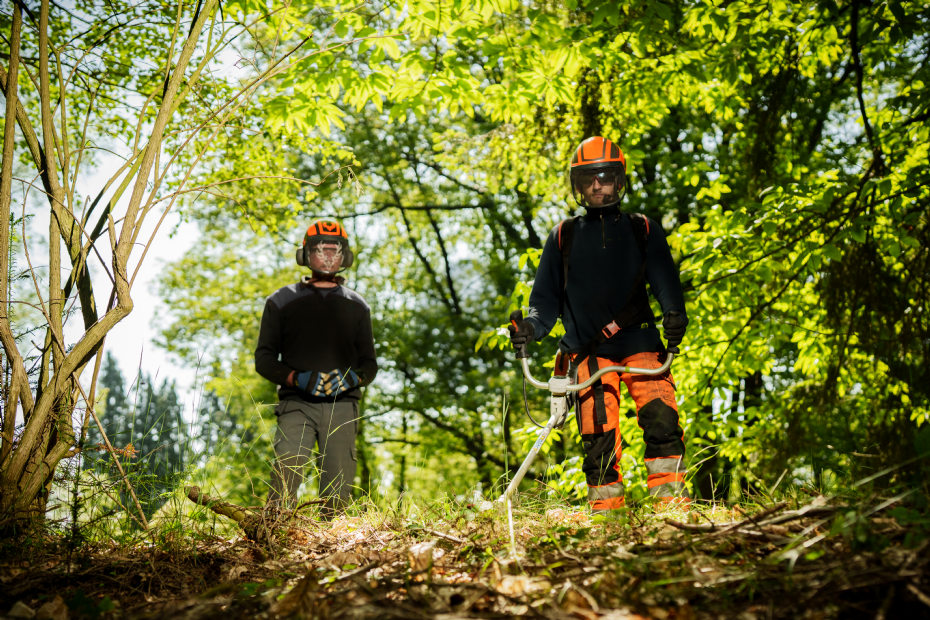 Bij CCB doe je veel praktijkervaring op Bij CCB doe je veel praktijkervaring op