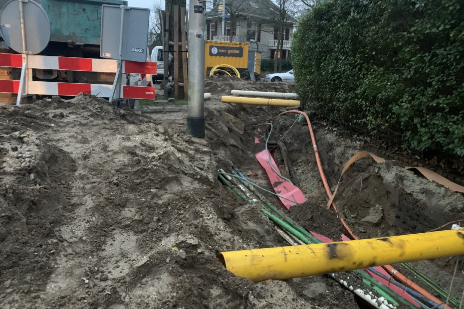 Graafschade aan wortels bij grondwerk Graafschade aan wortels bij grondwerk