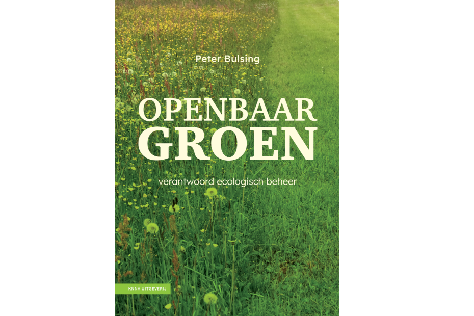 Cover boek van Peter Bulsing Cover boek van Peter Bulsing