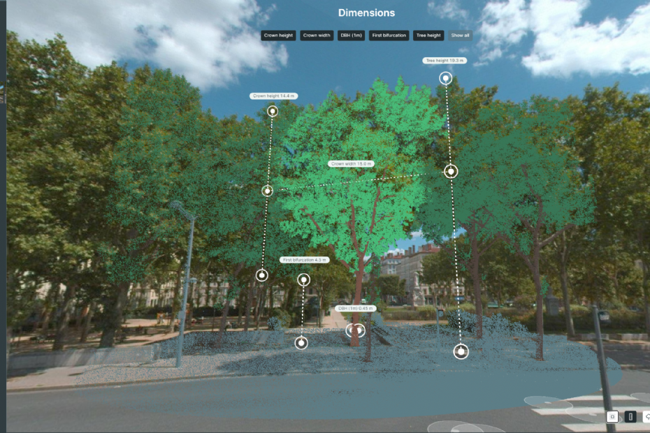 <i>Digital twin</i> van de Streetview-metingen <i>Digital twin</i> van de Streetview-metingen