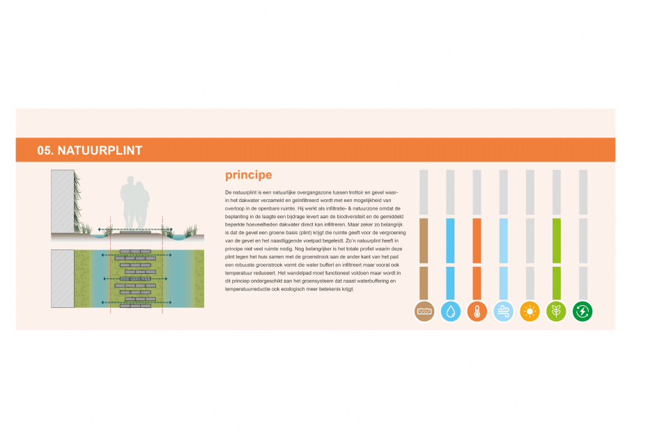 Het ontwerpprincipe 'natuurplint' valt onder het thema temperatuur, maar levert ook een grote bijdrage aan bodem, water en biodiversiteit.