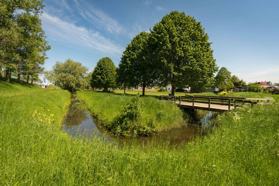 'Je kunt je afvragen of er aan beide oevers wel geschouwd moet worden, dan hoeft er ook niet aan beide kanten te worden geklepeld' 'Je kunt je afvragen of er aan beide oevers wel geschouwd moet worden, dan hoeft er ook niet aan beide kanten te worden geklepeld'