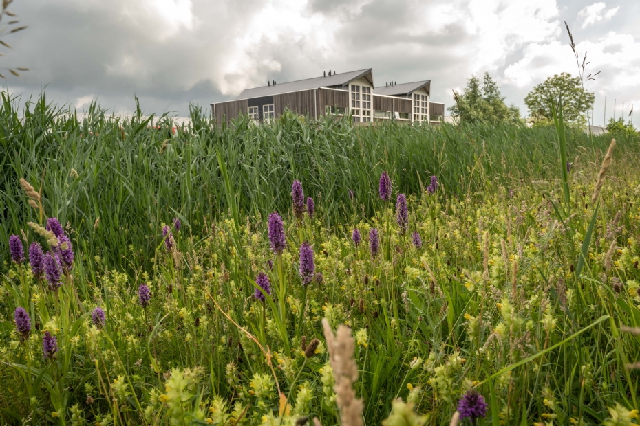 'Beheer doet ertoe. De functie van de maaier wordt steeds belangrijker' 'Beheer doet ertoe. De functie van de maaier wordt steeds belangrijker'