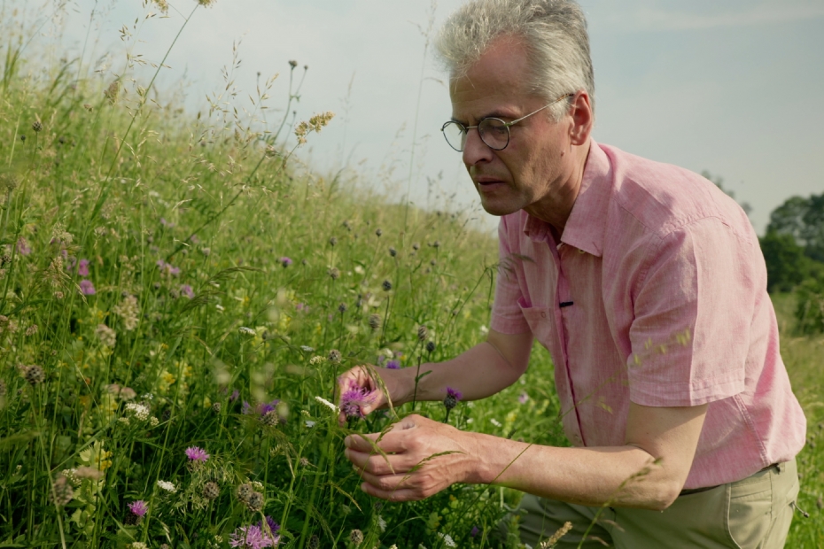 Hans de Kroon Hans de Kroon