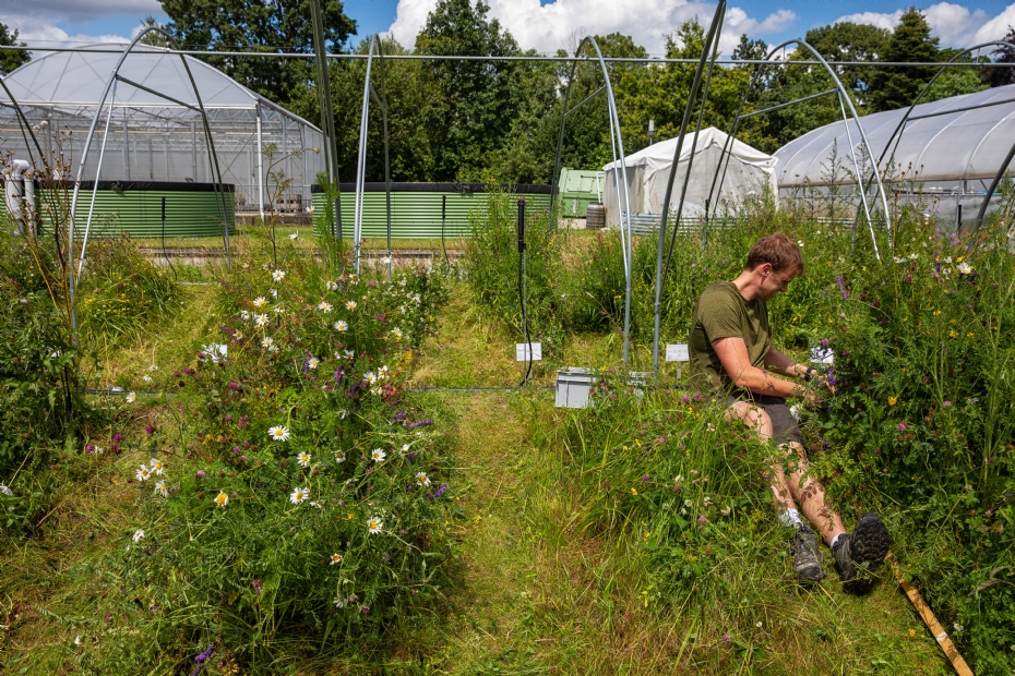 De bogen waarover het folie komt om droogte na te bootsen