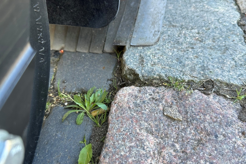 Een close up van de vingerachtige lamellen voor onkruid op oneffen verhardingen en de sideshift voor onkruid in randen en langs muren Een close up van de vingerachtige lamellen voor onkruid op oneffen verhardingen en de sideshift voor onkruid in randen en langs muren