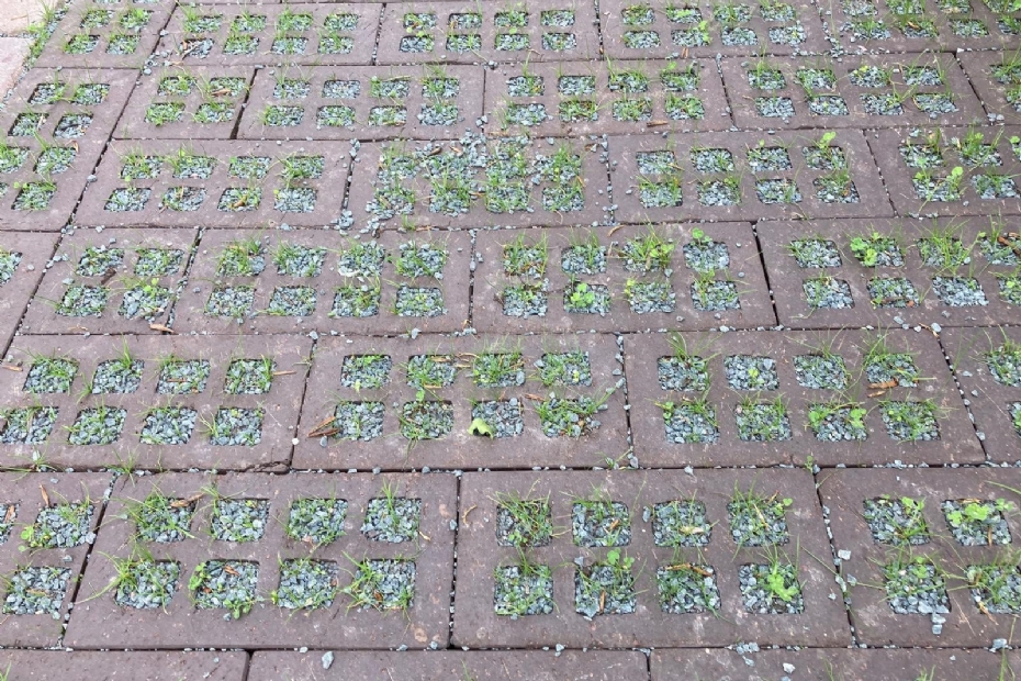 Nijkerk: split en gras Nijkerk: split en gras