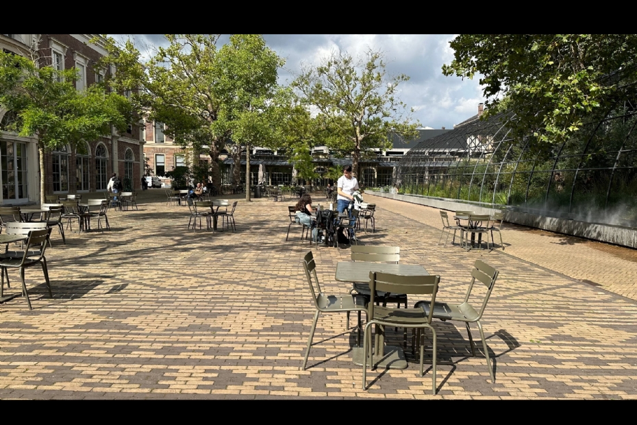 Het tapijt van het Artisplein Het tapijt van het Artisplein