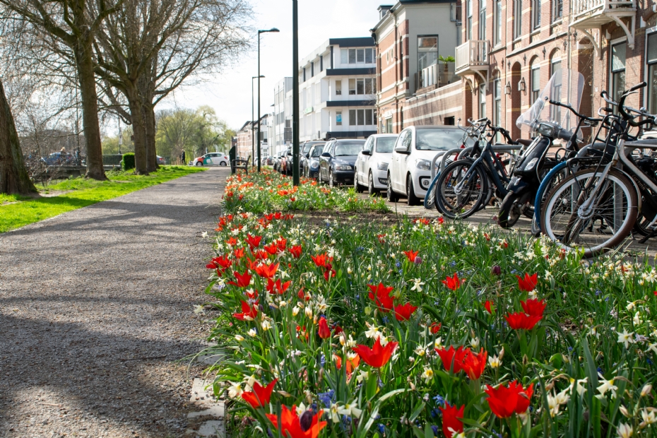 Speciaal mengsel voor de Chassesingel in Breda