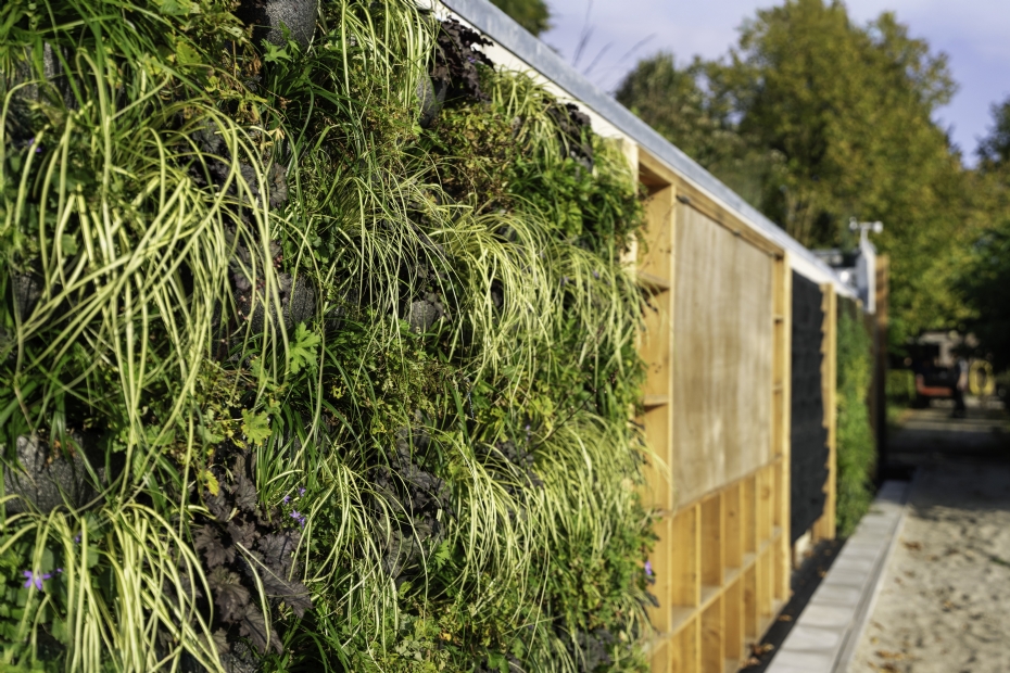 Gevelgroen op het onderwijsdak Yuverta Houten Gevelgroen op het onderwijsdak Yuverta Houten
