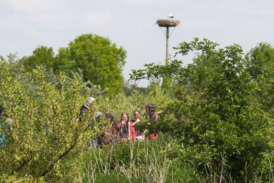 Ketelbroek-bezoek temidden van vegetatielagen Ketelbroek-bezoek temidden van vegetatielagen