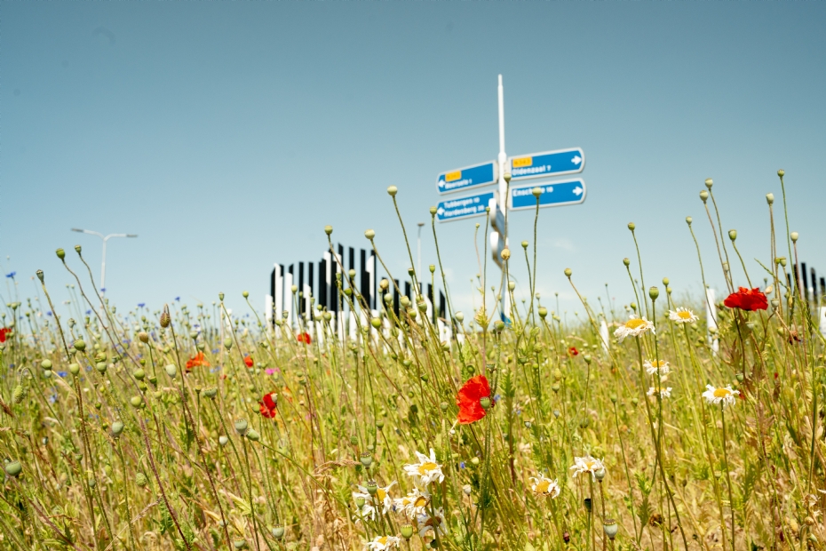 Jaarrond groene bermen en rotondes Jaarrond groene bermen en rotondes