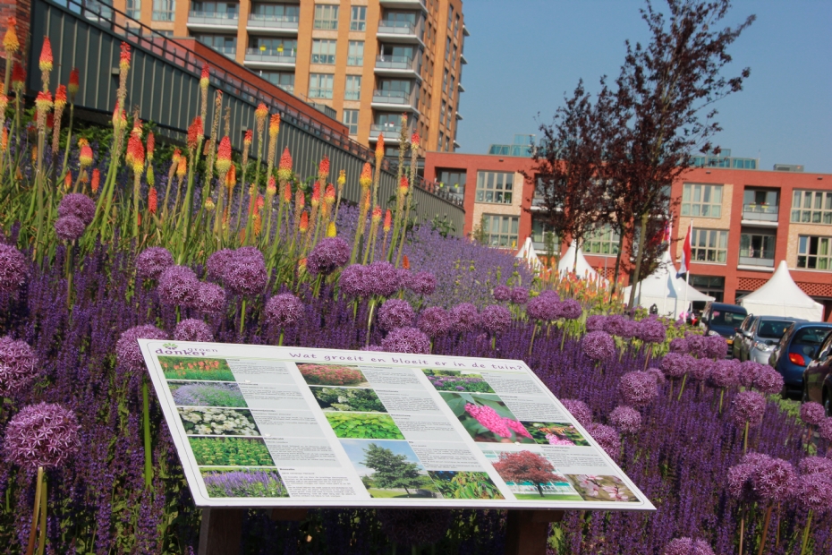 Buitenruimte Erasmus Woonzorgcentrum in Leeuwarden Buitenruimte Erasmus Woonzorgcentrum in Leeuwarden