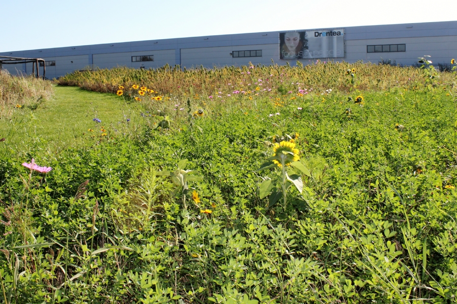 Een impressie van Greenfield Een impressie van Greenfield
