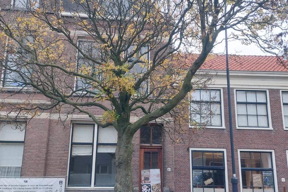 Kwarrend, maar hier de moeite waard Kwarrend, maar hier de moeite waard