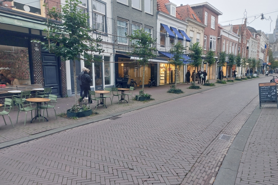 Jonge leilindes in de Zijlstraat Jonge leilindes in de Zijlstraat