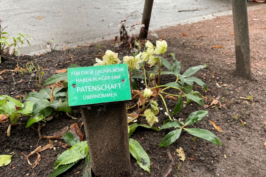 Ook Duitsland kent buurtparticipatie: bewoners hebben een perkje geadopteerd Ook Duitsland kent buurtparticipatie: bewoners hebben een perkje geadopteerd