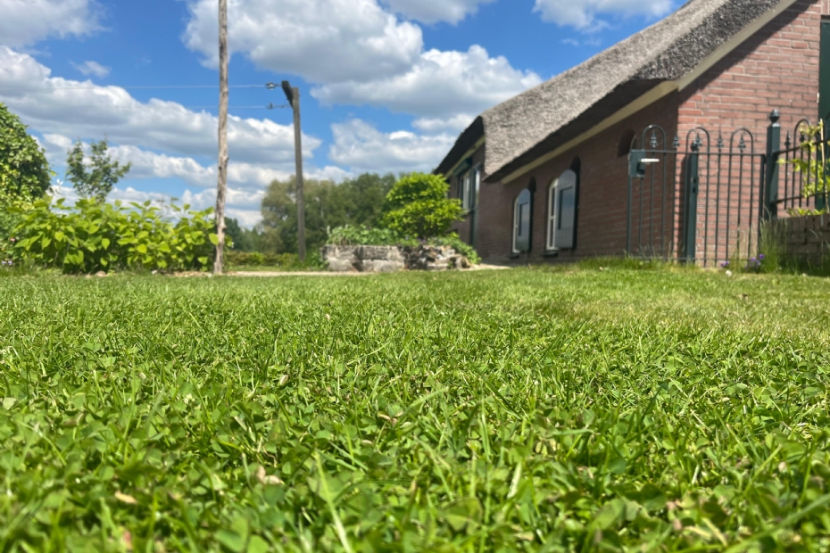 Het nieuwe mengsel EUROGRASS Trifolino bevat microklaver. Deze klaver bindt stikstof uit de lucht en zorgt hierdoor voor meer biodiversiteit en minder benodigde bemesting Het nieuwe mengsel EUROGRASS Trifolino bevat microklaver. Deze klaver bindt stikstof uit de lucht en zorgt hierdoor voor meer biodiversiteit en minder benodigde bemesting