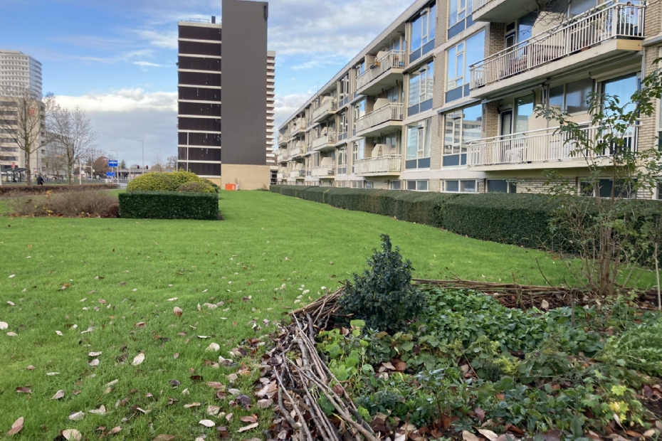 Natuurinclusieve ontwikkeling blijft ook hier weer krampachtig binnen de perken Natuurinclusieve ontwikkeling blijft ook hier weer krampachtig binnen de perken