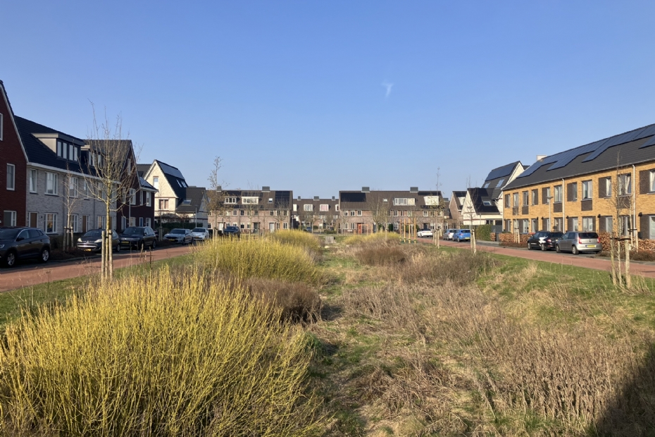 Op een aantal plaatsen is goed nagedacht over inpassing binnen de stadswijk, wat de ecologische functionaliteit vergroot Op een aantal plaatsen is goed nagedacht over inpassing binnen de stadswijk, wat de ecologische functionaliteit vergroot