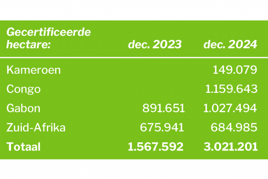 PEFC-gecertificeerd bos in Afrika 2024 PEFC-gecertificeerd bos in Afrika 2024